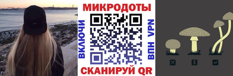 hydra ONION  Правдинск  это состав  где можно купить   Псилоцибиновые грибы Psilocybe 